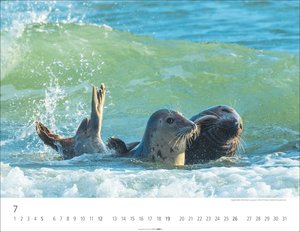 Heimische Wildtiere 2026