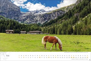 Südtirol Globetrotter 2026