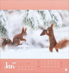 Vadim Trunov: Märchenhaftes Waldleben Postkartenkalender 2026