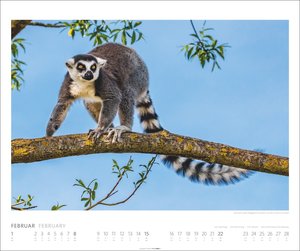 African Wildlife Kalender 2026