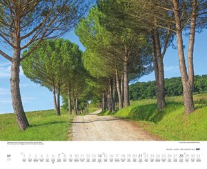 Bäume – Alleen 2024 – Wandkalender 52 x 42,5 cm – Spiralbindung