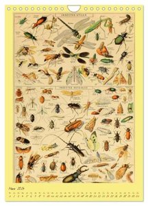 Prächtige Naturtafeln (Wandkalender 2024 DIN A4 hoch), CALVENDO Monatskalender