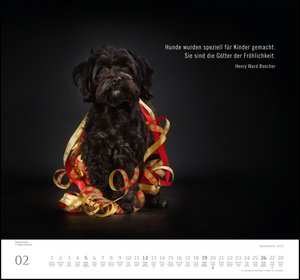 Hundeleben 2023 - DUMONT Wandkalender - mit den wichtigsten Feiertagen - Format 38,0 x 35,5 cm