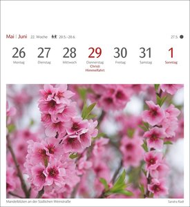 Farben der Natur Postkartenkalender 2025 - Wochenkalender mit 53 Postkarten