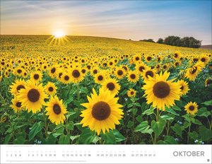 Blütenmeer Posterkalender 2026