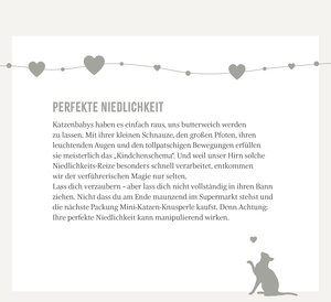 Wochenkalender 2025: Kluge Katzen