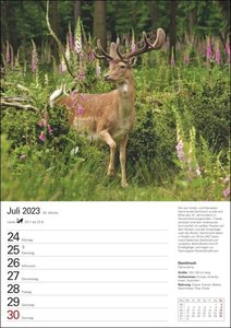 Heimische Tiere Wochenplaner 2023. Jede Woche schöne Tierfotos in einem praktischen Kalender zum Eintragen. Ein Terminkalender für die Wand mit tollen Aufnahmen und viel Platz für Notizen.
