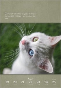 Literaturkalender Katzen Wochen-Kulturkalender 2024. 53 Katzenporträts und katzenverliebte Literaturauszüge in einem Wochenkalender 2024. Dekorativer Kalender für Katzenliebhaber