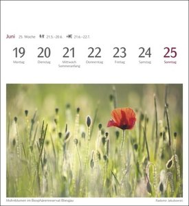 Farben der Natur Postkartenkalender 2023. Farbenprächtige Naturaufnahmen in einem Fotokalender im Postkartenformat. Tischkalender zum Aufstellen mit 53 Postkarten.