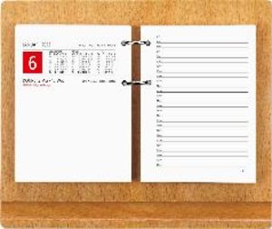 Großer Umlege-Kalender 2023 - 10,5x14,2 cm - 1 Tag auf 2 Seiten - zum Einheften - Bürokalender mit 2-fach Lochung - Stundeneinteilung von 7 - 20 Uhr - 338-0000