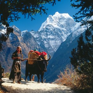 Himalaya 2025