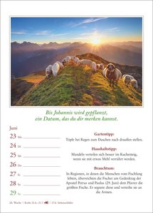 Bauernweisheiten Wochenkalender 2025 - Bauernregeln, Brauchtum, Gartentipps, Haushaltstipps