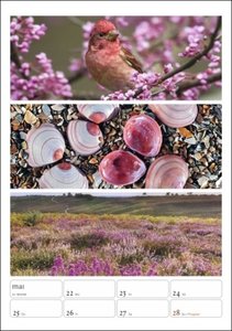 Magie der Farben Wochenplaner 2023. Kalender mit Fotos, die die Farben der Natur meisterhaft zur Geltung bringen. Praktischer Wandplaner mit hochwertigen Naturaufnahmen.