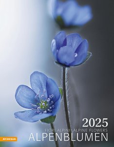 Alpenblumen 2025