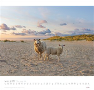 Die Insel Sylt Edition 2026