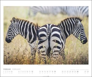African Wildlife Kalender 2023. Die Tierwelt Afrikas in atemberaubenden Fotos festgehalten für einen großen Wandkalender. Fotokalender mit Wow-Faktor.