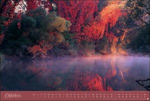 Zauberwälder Edition Kalender 2022