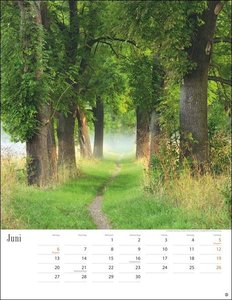 Wege zum Träumen Kalender 2022