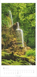 Im Wald Kalender 2026