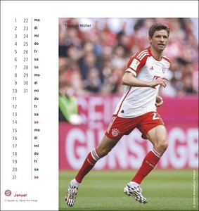 FC Bayern München Postkartenkalender 2024. Monats-Tischkalender zum Aufstellen oder Aufhängen mit den Stars des FC Bayern. Ein kleiner Foto-Kalender mit Postkarten zum Versenden an Fans.