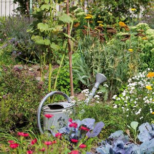Gute Laune Garten 2022