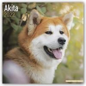 Akitas 2022 - 16-Monatskalender