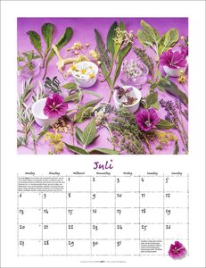 Augenschmaus Kalender 2026 - Gewürze und Kräuter rund ums Jahr