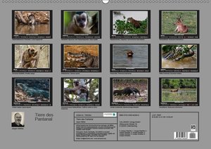 Tiere des Pantanal