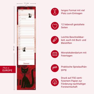 Rosina Wachtmeister Langplaner 2026