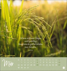 Ich wünsch dir ... stille Momente Postkartenkalender 2022