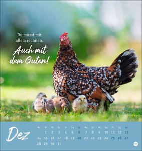 Hühner Postkartenkalender 2026
