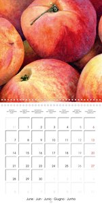 FRUITS SELECTED PAINTINGS BY YANNY PETTERS (Wall Calendar 2021 300 × 300 mm Square)
