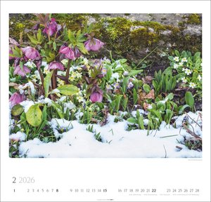 Bauerngärten Kalender 2026