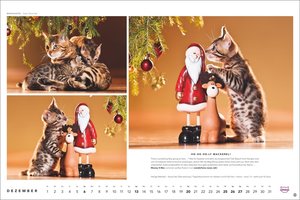 Whiskas Katzenkalender 2026