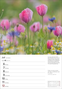 Naturschätze Deutschlands Wochenplaner 2026 - Eine Reise in 53 Bildern