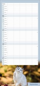 times&more Katzen Familienplaner 2026
