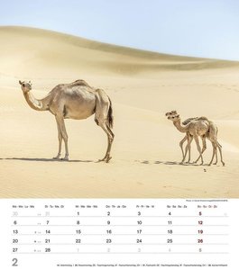 Tierkinder 2023 - Wand-Kalender - 30x34