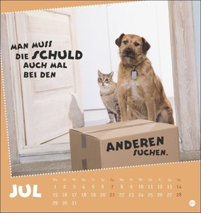 Mach mal Pause Postkartenkalender 2024. Kleiner Tierkalender mit lustigen Sprüchen rund um Büro und Arbeit. Kalender zum Aufstellen oder Aufhängen, mit witzigen Postkarten zum Sammeln und Versenden.