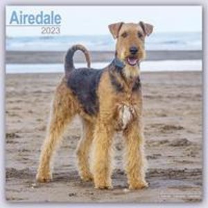 Airedale Terrier 2023 - 16-Monatskalender