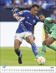 Schalke 04 Posterkalender 2024