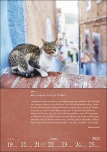 Literaturkalender Katzen Wochen-Kulturkalender 2023