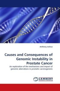 Causes and Consequences of Genomic Instability in Prostate Cancer