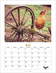Der Hühnerkalender 2026