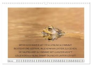Spruch verliebt (Wandkalender 2024 DIN A3 quer), CALVENDO Monatskalender