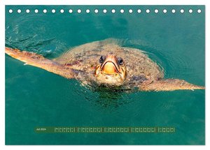 Kefalonia Kleine Juwelen im Ionischen Meer (Tischkalender 2024 DIN A5 quer), CALVENDO Monatskalender
