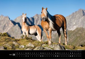 360° Tirol Premiumkalender 2023