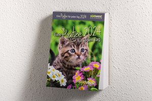 Eine Katze für jeden Tag 2024  - Tagesabreißkalender zum Aufstellen oder Aufhängen