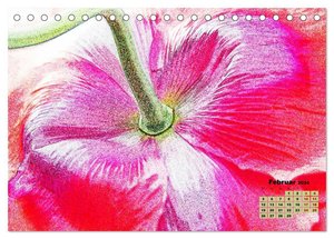 MohnZauber (Tischkalender 2024 DIN A5 quer), CALVENDO Monatskalender