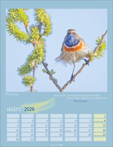 Heimische Vögel Kalender 2026