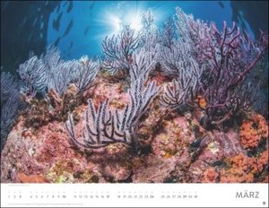 Unterwasser Posterkalender 2024. Spektakulärer Foto-Kalender im Posterformat. Die faszinierende Unterwasserwelt in Bildern für einen dekorativen großen Kalender.